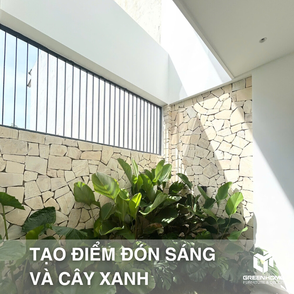 ánh sáng tự nhiên 6
