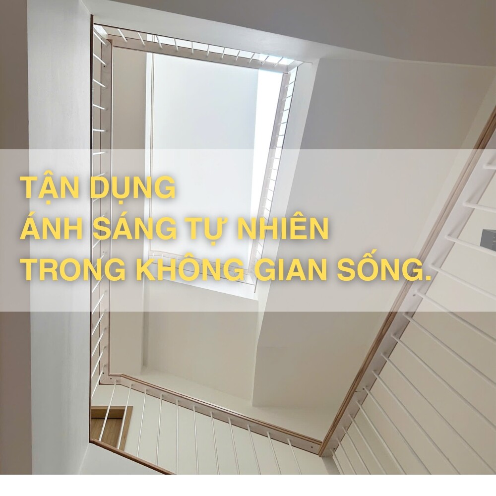 ánh sáng tự nhiên 1