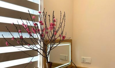 Chiêm Ngưỡng Nội Thất Căn Hộ Vũng Tàu Centre Point